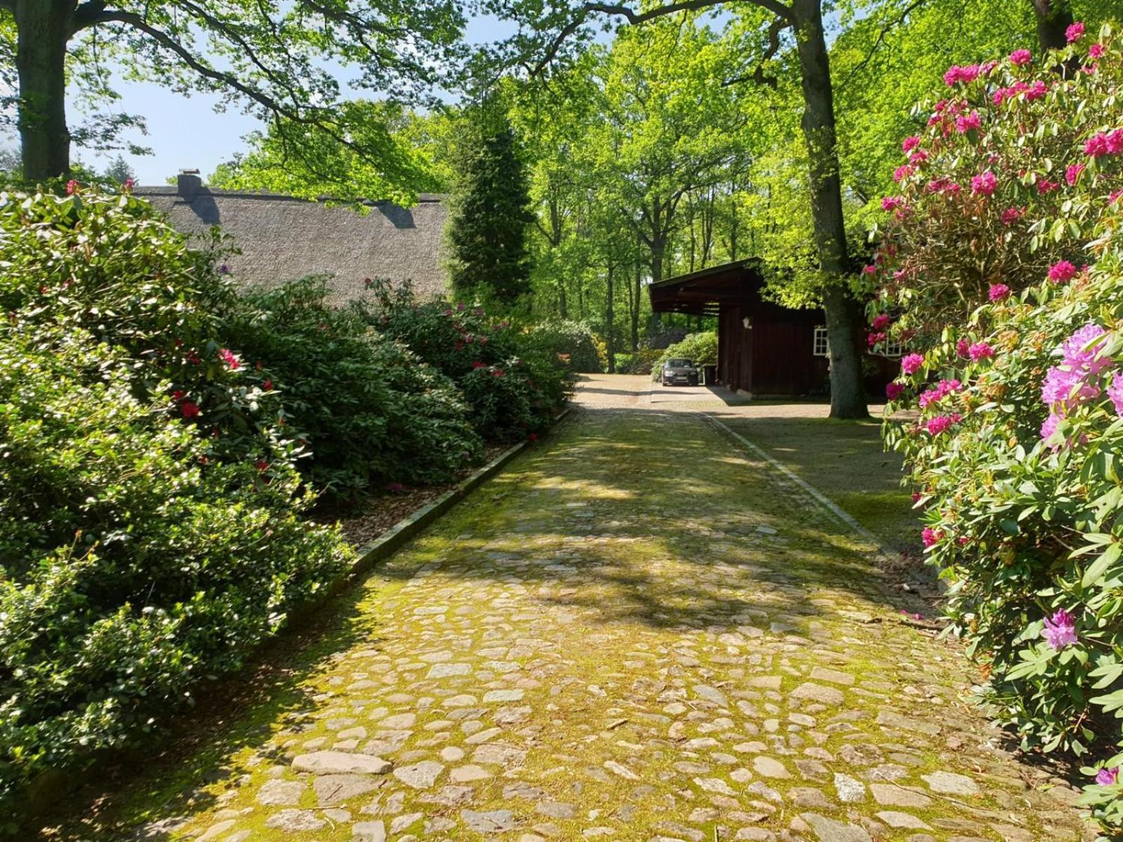 Villa Hof Lindemann à Schneverdingen Extérieur photo