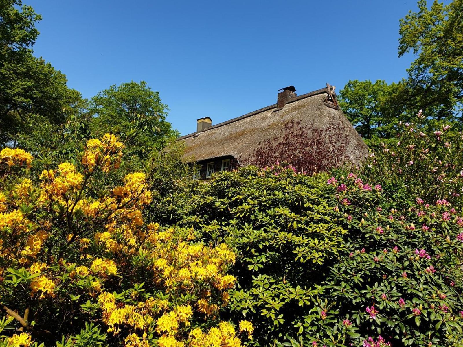 Villa Hof Lindemann à Schneverdingen Extérieur photo